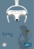 Lynx Scheda tecnica