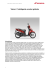 Vision: l`intelligente scooter globale