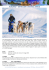 svalbard – safari con i cani nell`artico