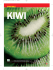 Speciale Kiwi