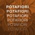 press kit - Potafiori