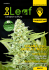 BeLeaf CannabisMag Numero 0