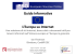 Guida Informativa L`Europa su Internet