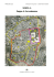 SCHEDA A Mappa di Gerusalemme