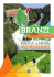 branzi - Bremboski
