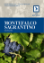 Brochure del Consorzio Tutela Vini Montefalco
