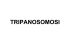 tripanosomosi - Dipartimento di Scienze della vita