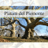 Platani del Piemonte - Un itineario cucito da