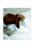 Itinerario dettagliato_L`Alaska dei Grizzly