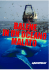 Balene in un oceano malato