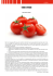 Tomato Forum 2015