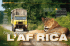LaMia4x4-Safari Truck