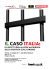 IL CASO ITALIA: GLI EFFETTI DELLA LEGGE