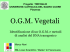 OGM vegetali documento PDF