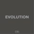 Catalog Evolution