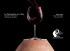 La Terracotta e il Vino