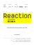 Reaction Roma_ project