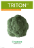 cavolo broccolo