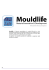 Catalogo Mouldlife
