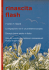 rinascita flash