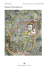 Mappa di Gerusalemme