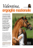 Gente di cavalli - Il Portale del Cavallo